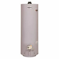 Reliance 30 Gal 30000 BTU Natural Gas/Propane Mobile Home Water Heater
