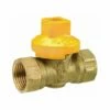 B&K ProLine 1 In. Brass FIP Gas Ball Valve