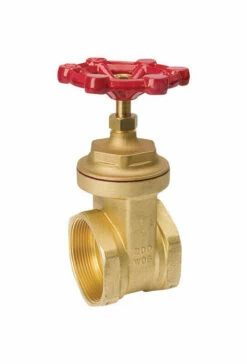 B&K ProLine 4 In. FIP Brass Gate Valve