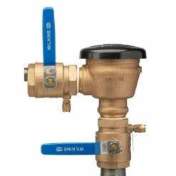 Zurn 2 In. FIP X 2 In. FIP Bronze Pressure Vacuum Breaker Assembly